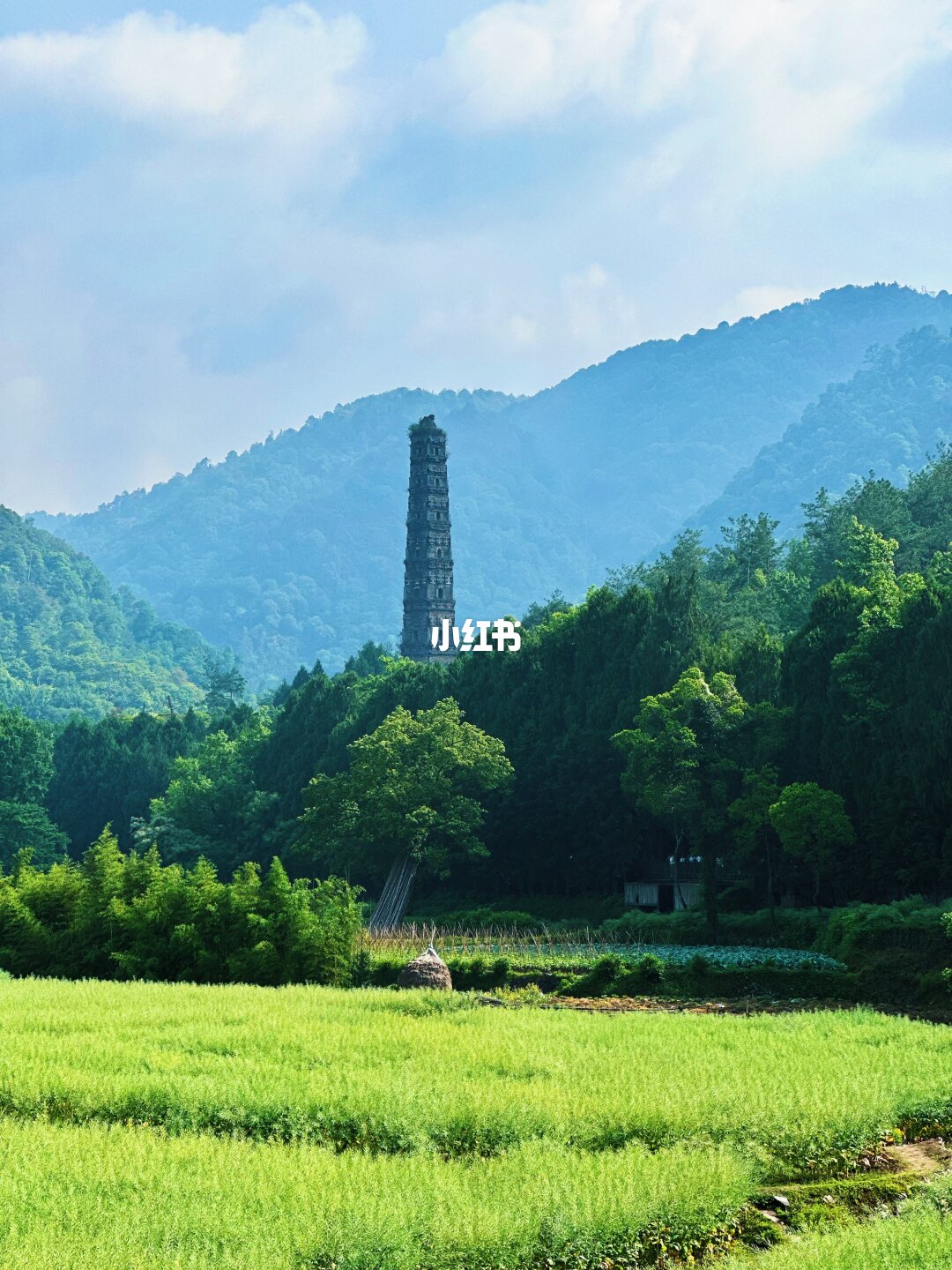国清寺