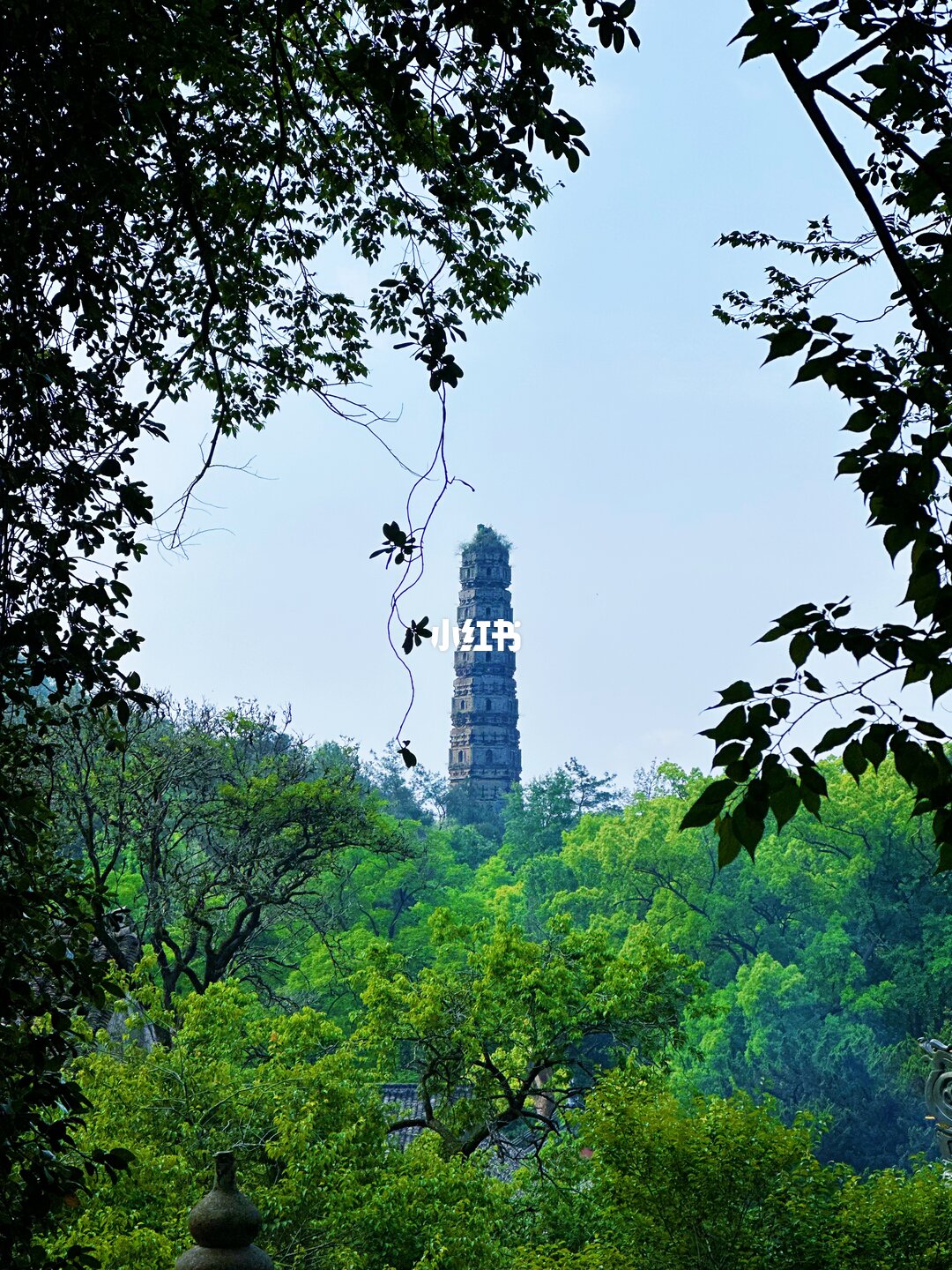 国清寺