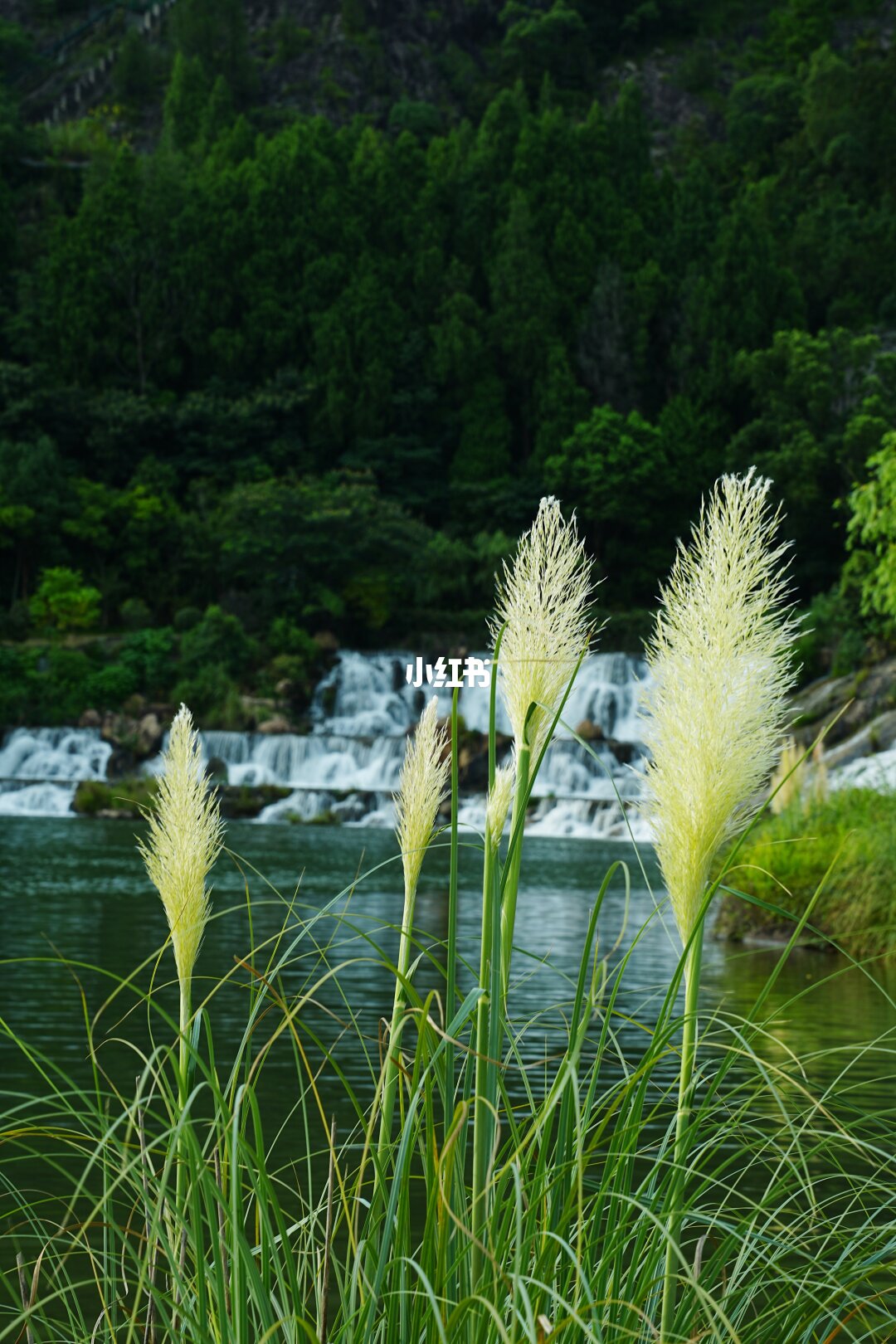 天台山大瀑布